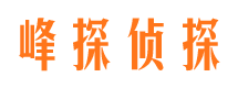 蝶山侦探公司